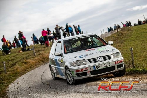 polo 6n2 rally