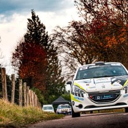 Peugeot 208 Rally4 - Peugeot Sport Store - Documentation