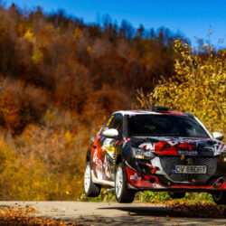 WhatsApp Image 2025-11-24 at 10.31.01 AM