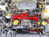 1000075118 1000075118