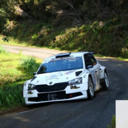 76fa3155-ea19-4d55-be75-18f23ad8c715