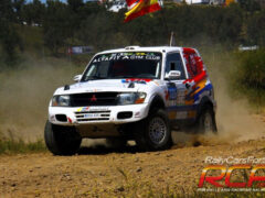 mitsubishi-did_2