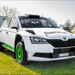 Fabia7
