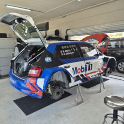 Skoda pic 4