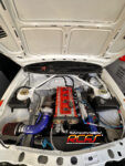 IMG_2312 IMG_2312