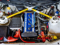 SLH_7295
