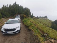 IMG-20260601-WA0045(1)