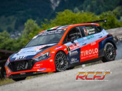 rossetti_d2 (4)