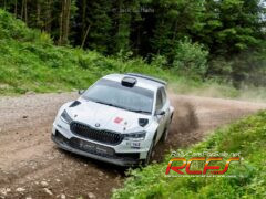 fabia2